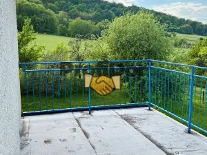 Prodej rodinného domu, Jeseník nad Odrou, 303 m2