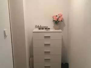 Pronájem bytu 1+kk, Ústí nad Labem, Londýnská, 52 m2