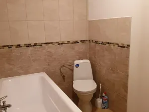 Pronájem bytu 1+kk, Ústí nad Labem, Londýnská, 52 m2