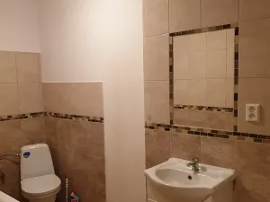Pronájem bytu 1+kk, Ústí nad Labem, Londýnská, 52 m2