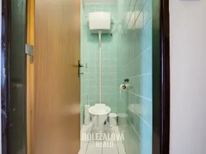 Prodej rodinného domu, Luka nad Jihlavou, Horní, 255 m2