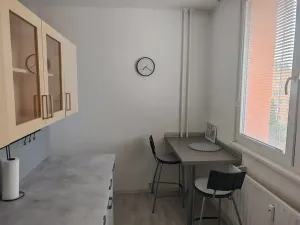 Pronájem bytu 2+1, Opava, Liptovská, 56 m2