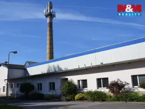 Prodej výrobních prostor, Miletín, Lhotova, 22000 m2