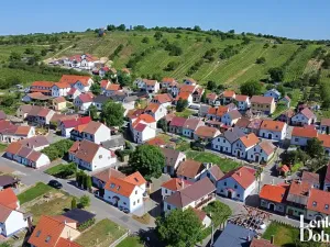 Prodej vinného sklepa, Mutěnice, 200 m2