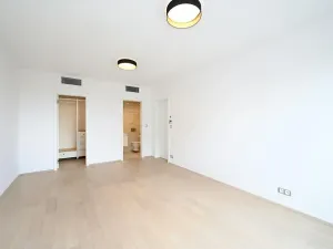 Pronájem bytu 4+kk, Praha - Žižkov, Olšanská, 120 m2