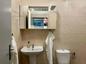 Pronájem bytu 2+kk, Plzeň, Mánesova, 43 m2