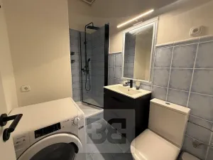 Pronájem bytu 1+1, Praha - Nové Město, Petrská, 37 m2
