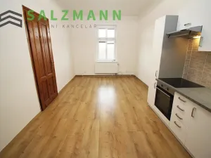 Pronájem bytu 2+1, Plzeň, Plachého, 71 m2