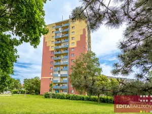 Prodej bytu 3+1, Přerov, Velká Dlážka, 63 m2