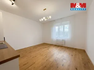 Pronájem bytu 1+kk, Praha - Vršovice, Petrohradská, 30 m2