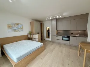 Pronájem bytu 1+kk, Praha - Vysočany, Gerstelova, 36 m2