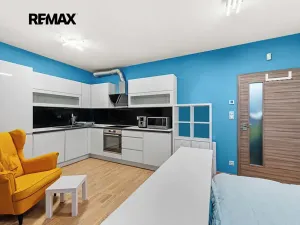 Prodej bytu 1+kk, Praha - Žižkov, Olšanská, 34 m2