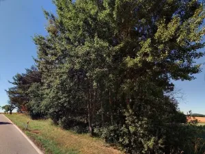 Prodej pozemku, Trhové Sviny - Rankov, 915 m2