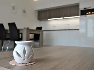 Pronájem bytu 1+kk, Olomouc, Loudova, 37 m2