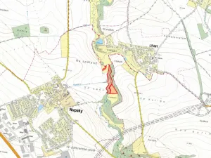 Prodej lesa, Nupaky, 20538 m2