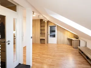 Pronájem bytu 2+kk, Opava, Mánesova, 48 m2