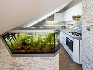 Pronájem bytu 2+kk, Opava, Mánesova, 48 m2