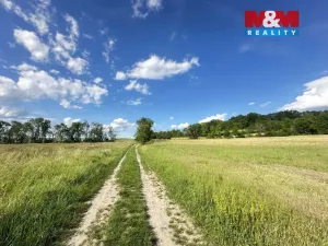 Prodej zahrady, Bechlín - Předonín, 625 m2