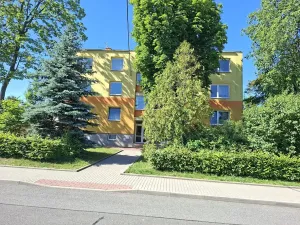 Prodej bytu 3+1, Veselí nad Moravou, Tyršova, 75 m2
