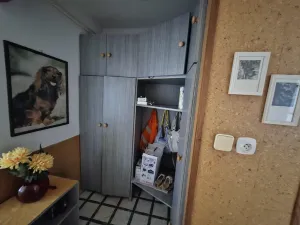 Prodej bytu 3+1, Veselí nad Moravou, Tyršova, 75 m2