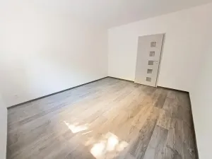 Pronájem bytu 1+1, Plzeň, Mánesova, 45 m2