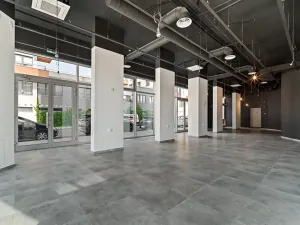 Pronájem restaurace, Praha - Holešovice, V háji, 240 m2