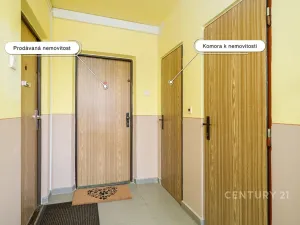 Prodej bytu 2+kk, Teplice, V závětří, 41 m2