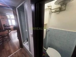 Prodej bytu 1+kk, Praha - Vinohrady, Písecká, 25 m2