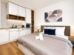 Pronájem bytu 1+kk, Brno, Cejl, 38 m2