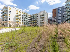 Pronájem bytu 2+kk, Praha - Vysočany, Pod Harfou, 42 m2