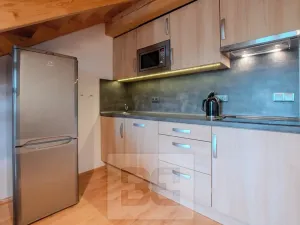 Pronájem bytu 3+kk, Vítkovice, 74 m2