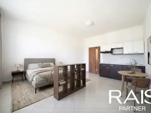 Prodej bytu 1+kk, Brno, 29 m2