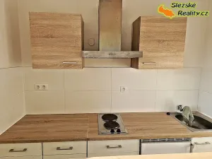 Pronájem bytu 1+kk, Ostrava, Krakovská, 22 m2