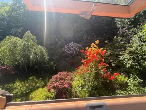 Prodej chalupy, Bousín, 200 m2