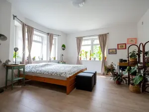 Pronájem bytu 2+kk, Liberec, Křížkovského, 70 m2