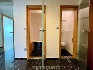 Pronájem bytu 3+1, Brno, Soběšická, 70 m2