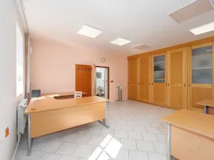 Prodej rodinného domu, Cetkovice, Velká Strana, 464 m2