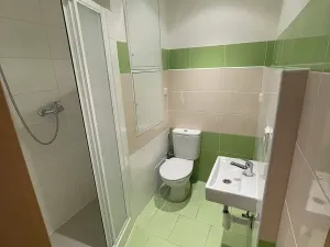 Pronájem bytu 1+kk, Dobřany, 17. listopadu, 19 m2