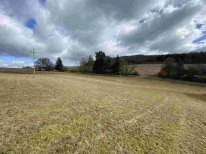 Prodej pozemku, Bělá nad Radbuzou - Čečín, 6857 m2