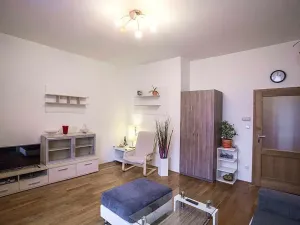 Pronájem bytu 1+kk, Praha - Libeň, Krejčího, 34 m2