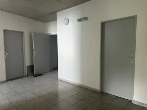 Pronájem bytu 1+kk, Plzeň, Štefánikova, 30 m2