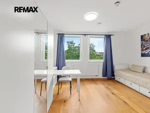 Pronájem bytu 1+kk, Praha - Vinohrady, Perucká, 27 m2