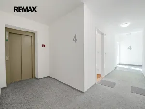 Pronájem bytu 1+kk, Praha - Vinohrady, Perucká, 27 m2