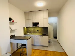 Pronájem bytu 1+kk, Praha - Dejvice, Studentská, 20 m2