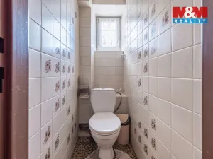 Prodej rodinného domu, Račetice, 438 m2