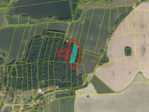 Prodej lesa, Myslív, 5003 m2