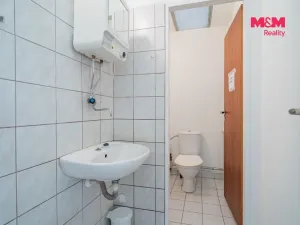 Pronájem skladu, České Budějovice, České Vrbné, 210 m2