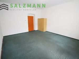 Pronájem bytu 2+kk, Plzeň, Úslavská, 45 m2