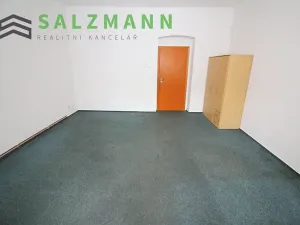 Pronájem bytu 2+kk, Plzeň, Úslavská, 45 m2