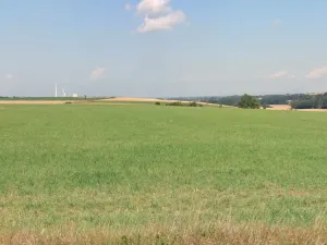 Prodej pole, Vysoká, 11301 m2